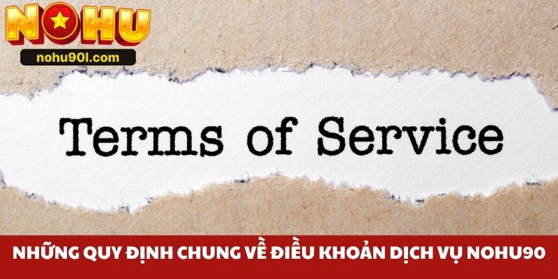 Những quy định chung về điều khoản dịch vụ Nohu90